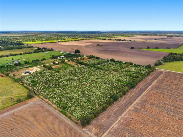 $78,400 | Lot 6 Cow Creek Road, Damon, TX 77430