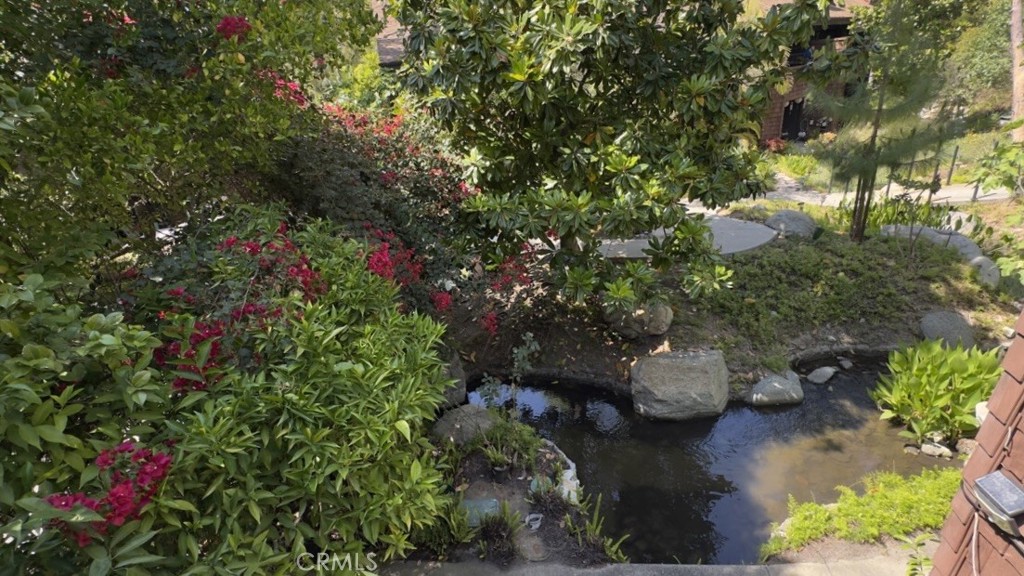 2741 Quail Ridge Circle, Unit 33 Fullerton, CA 92835 - Photo 20 of 24 Koi Fish