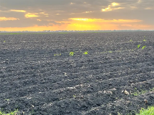 a view of outdoor space and space