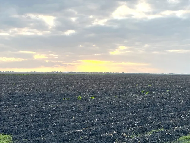 a view of city and mountain