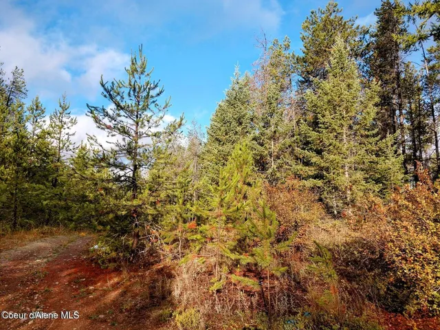 $99,000 | L4-b130 West Vermont Street, Spirit Lake, ID 83869