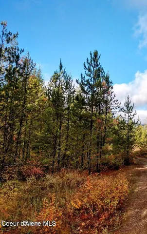 $99,000 | L4-b130 West Vermont Street, Spirit Lake, ID 83869