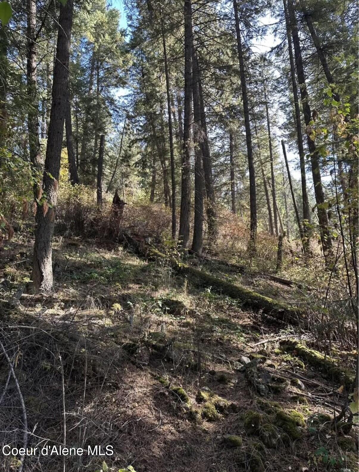 97 S Highway Harrison, ID 83833 - Photo 2 of 5 lot 2