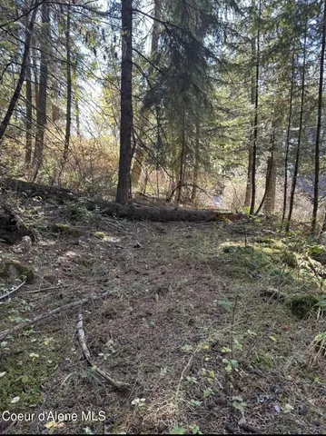 $125,000 | 97 S Highway, Harrison, ID 83833