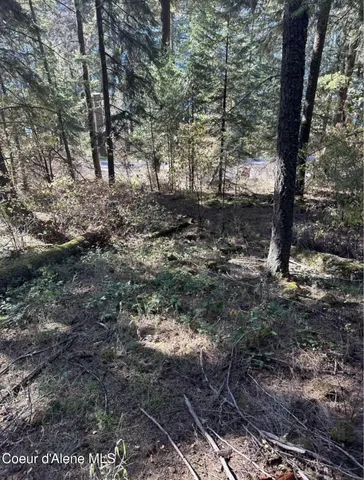 $125,000 | 97 S Highway, Harrison, ID 83833