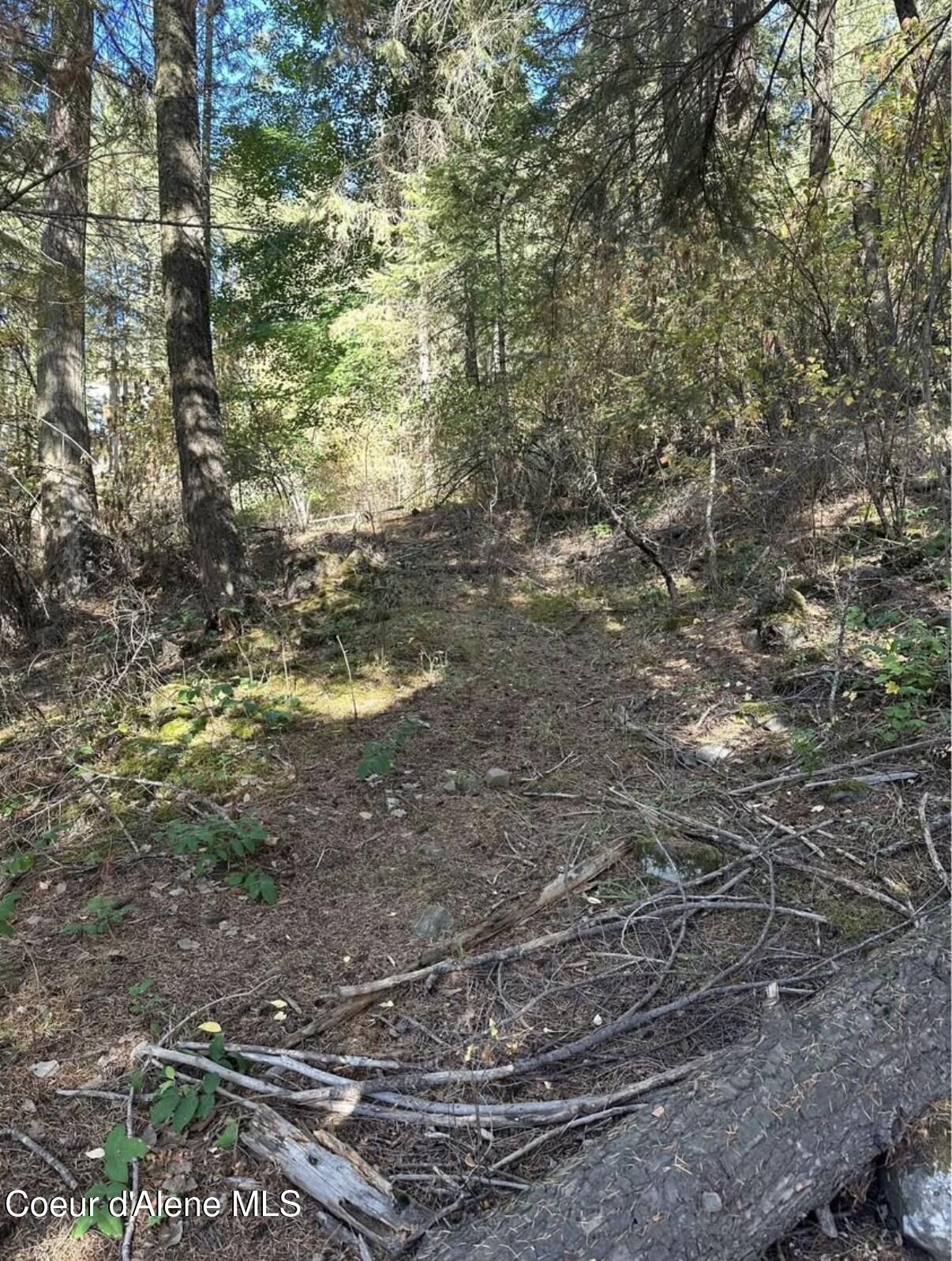 97 S Highway Harrison, ID 83833 - Photo 5 of 5 lot1