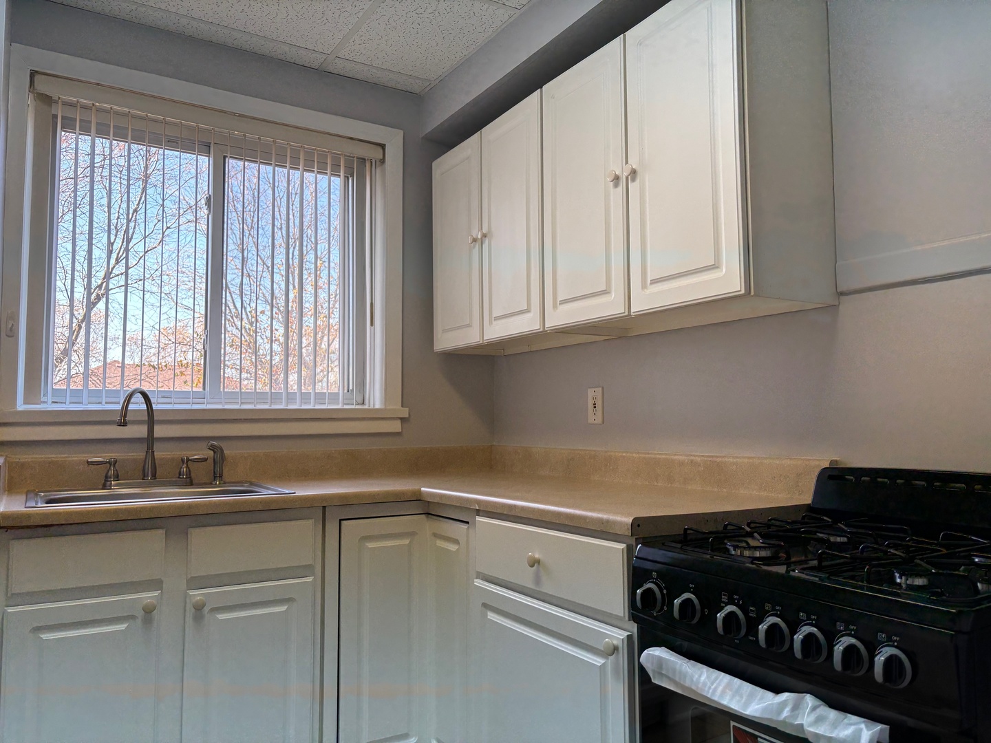 10904 South Avenue D, Unit 2N Chicago, IL 60617 - Photo 11 of 23