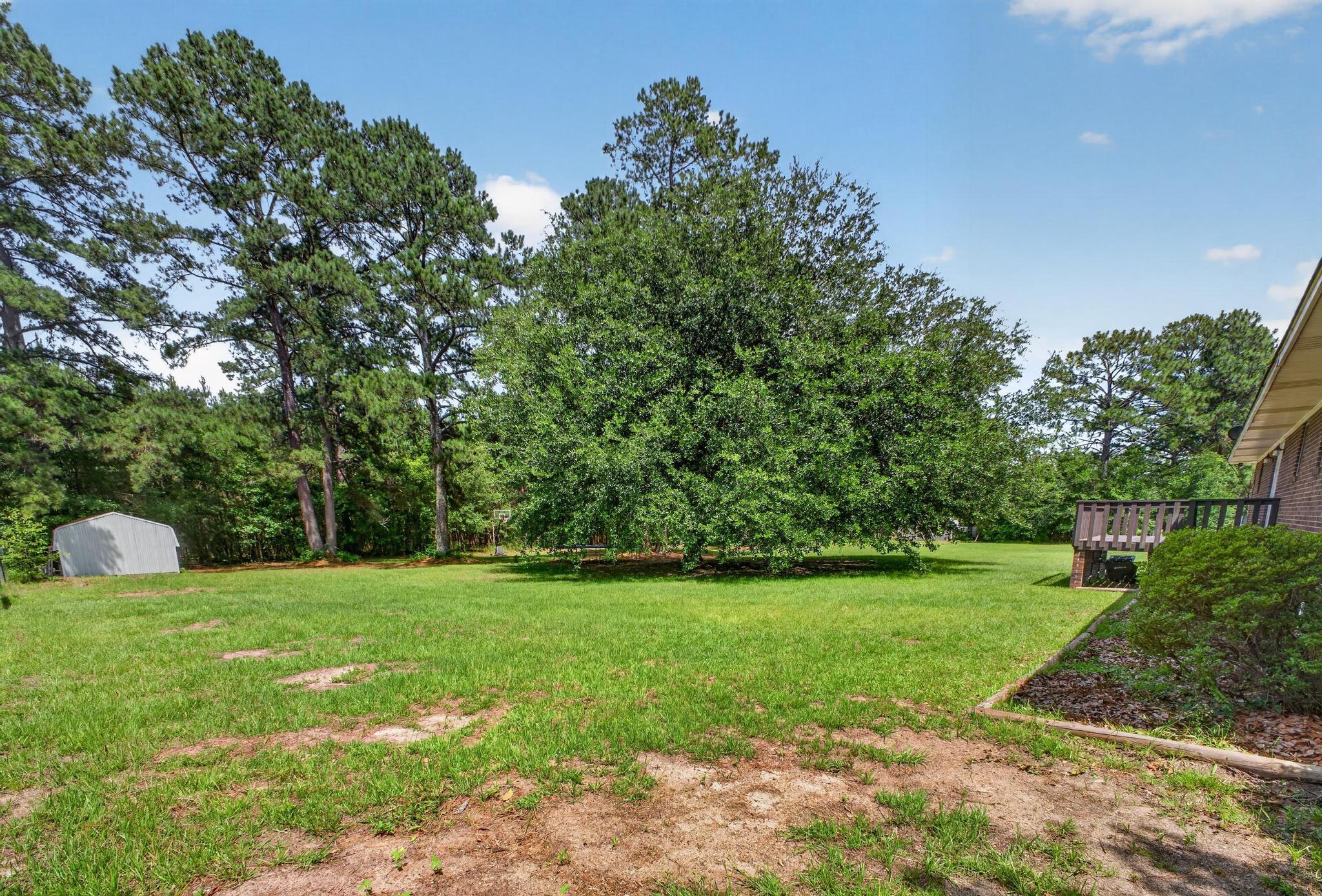 566 Howlandville Road Warrenville, SC 29851 - Photo 29 of 38 Gallery Image 29