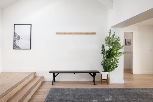 a living room with furniture and a potted plant