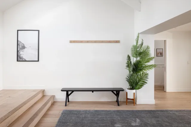 a living room with furniture and a potted plant