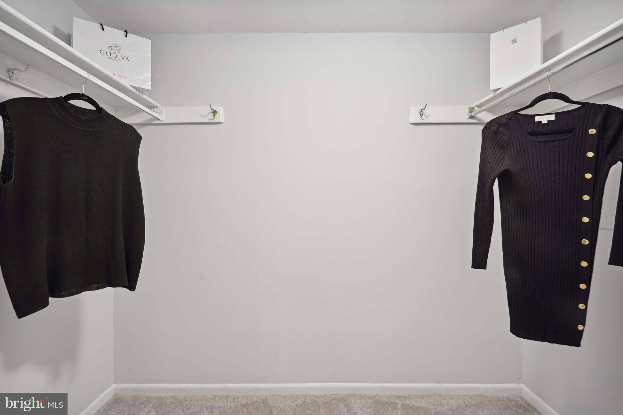 1525 Northgate Square, Unit 12C Reston, VA 20190 - Photo 18 of 23 Primary Closet