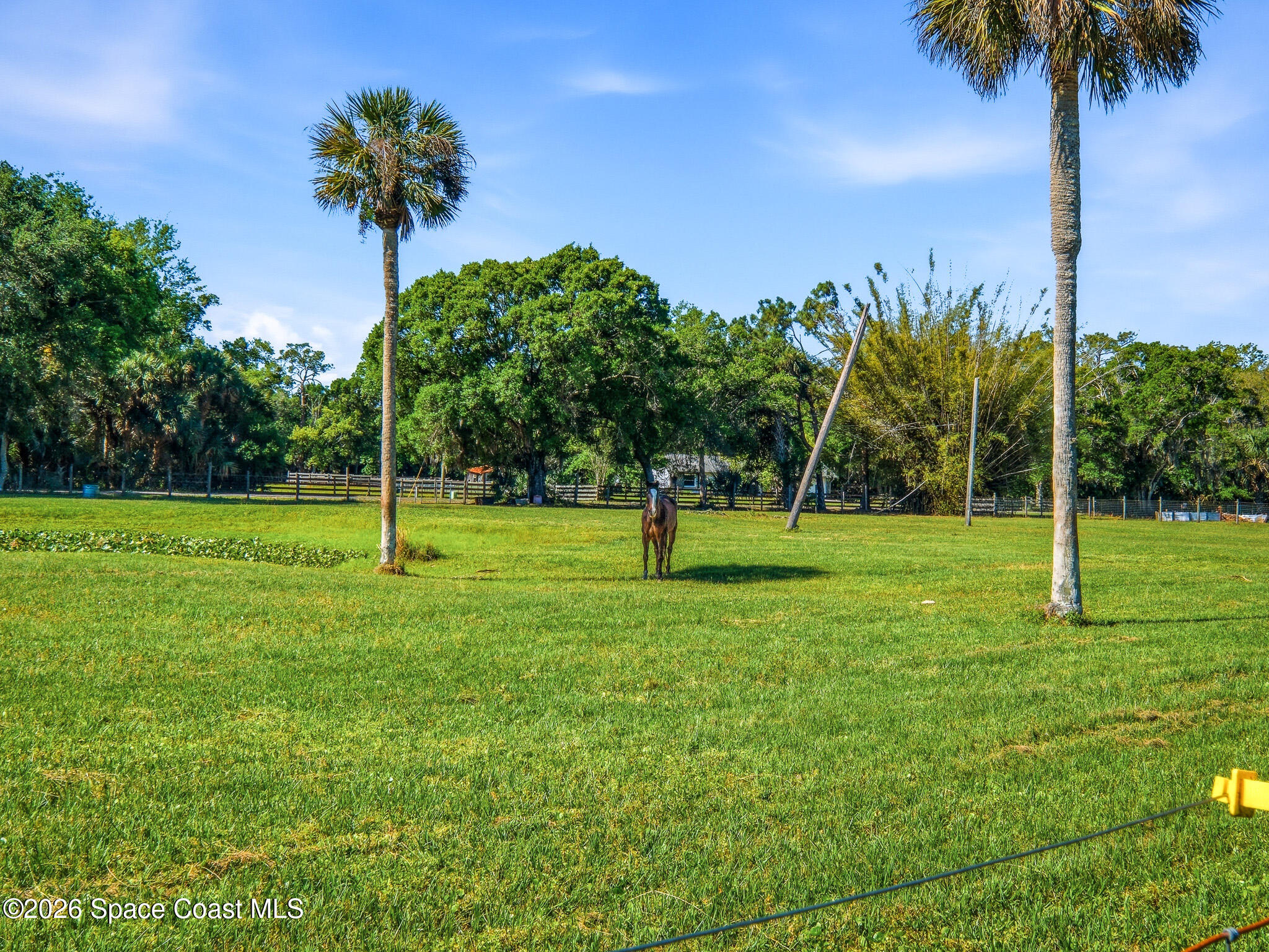479 Maytown Road Oak Hill, FL 32759 - Photo 45 of 60 479 Maytown-24