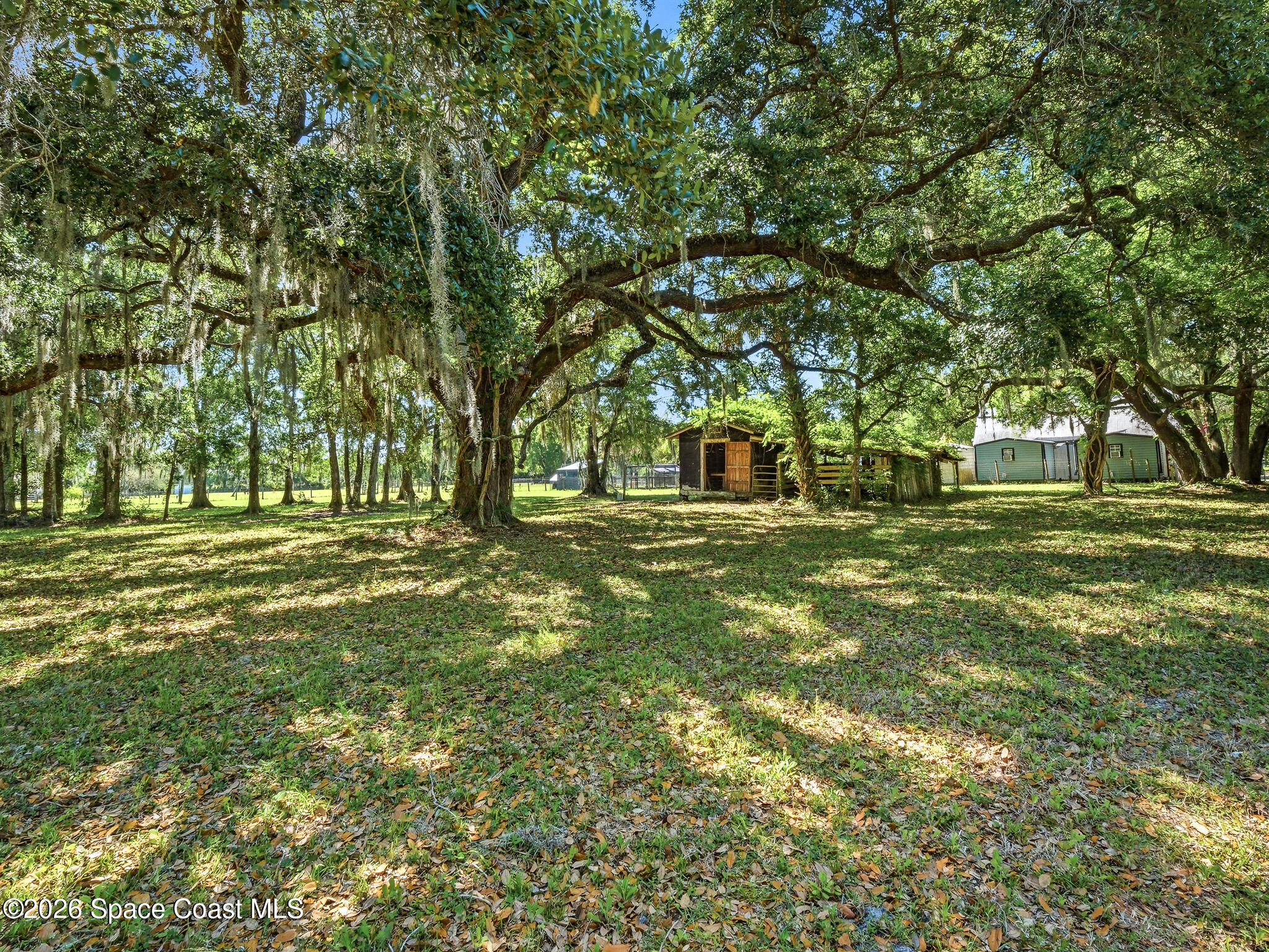 479 Maytown Road Oak Hill, FL 32759 - Photo 52 of 60 479 Maytown-31