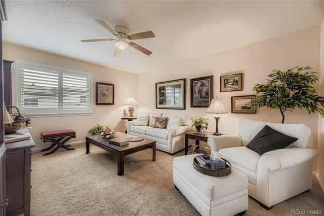 a living room with furniture and a potted plant