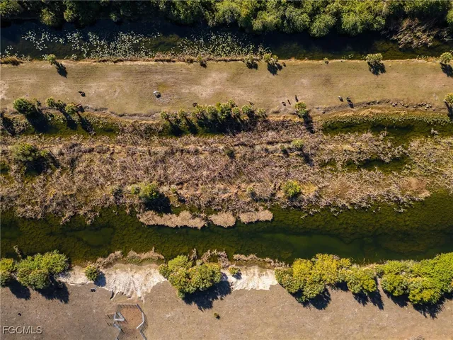 a view of a field with trees