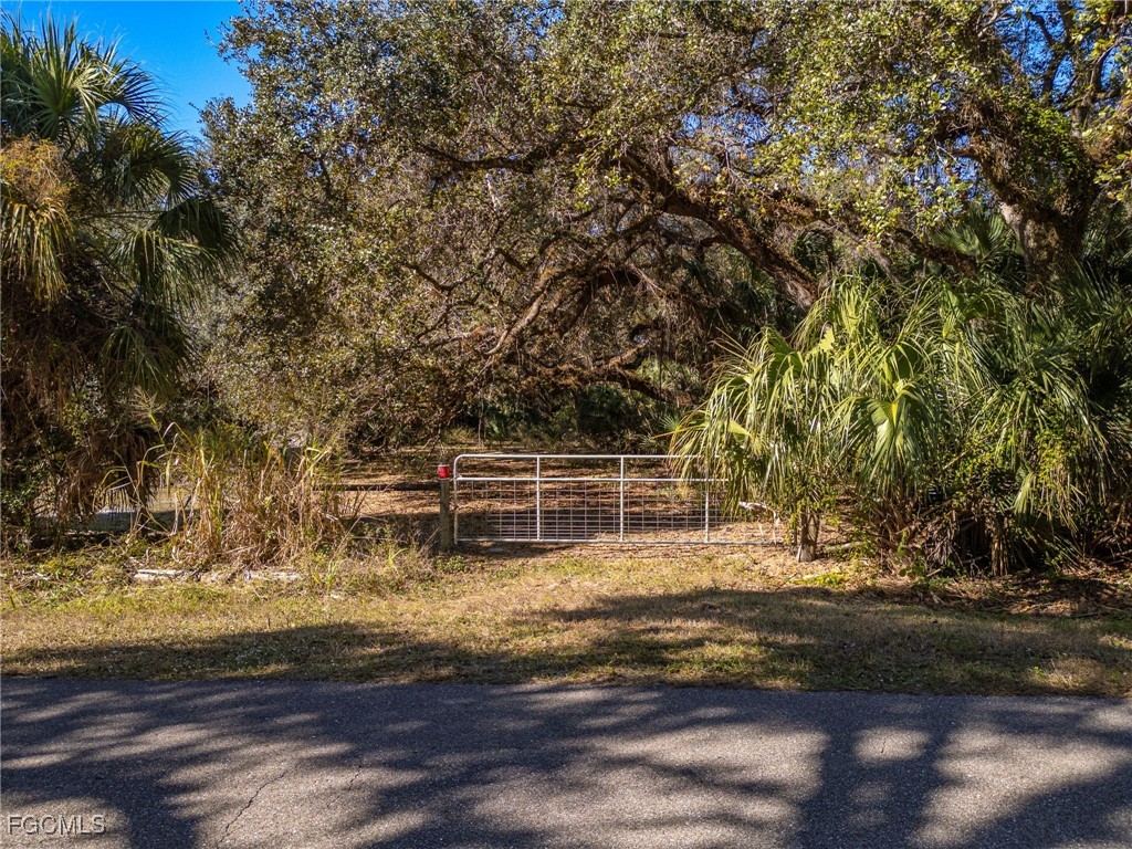 18201 Persimmon Ridge Road Alva, FL 33920 - Photo 16 of 24 Gallery Image 16