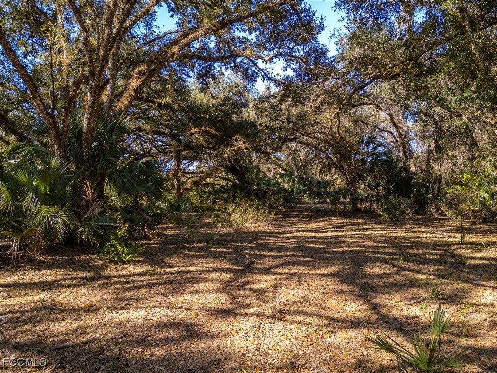 18201 Persimmon Ridge Road Alva, FL 33920 - Photo 17 of 24 Gallery Image 17