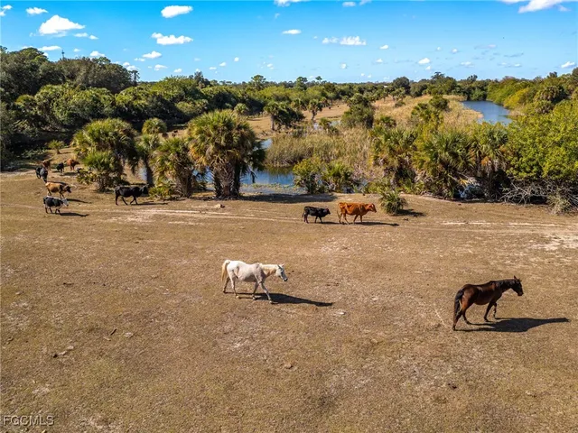 $3,100,000 | 18201 Persimmon Ridge Road, Alva, FL 33920