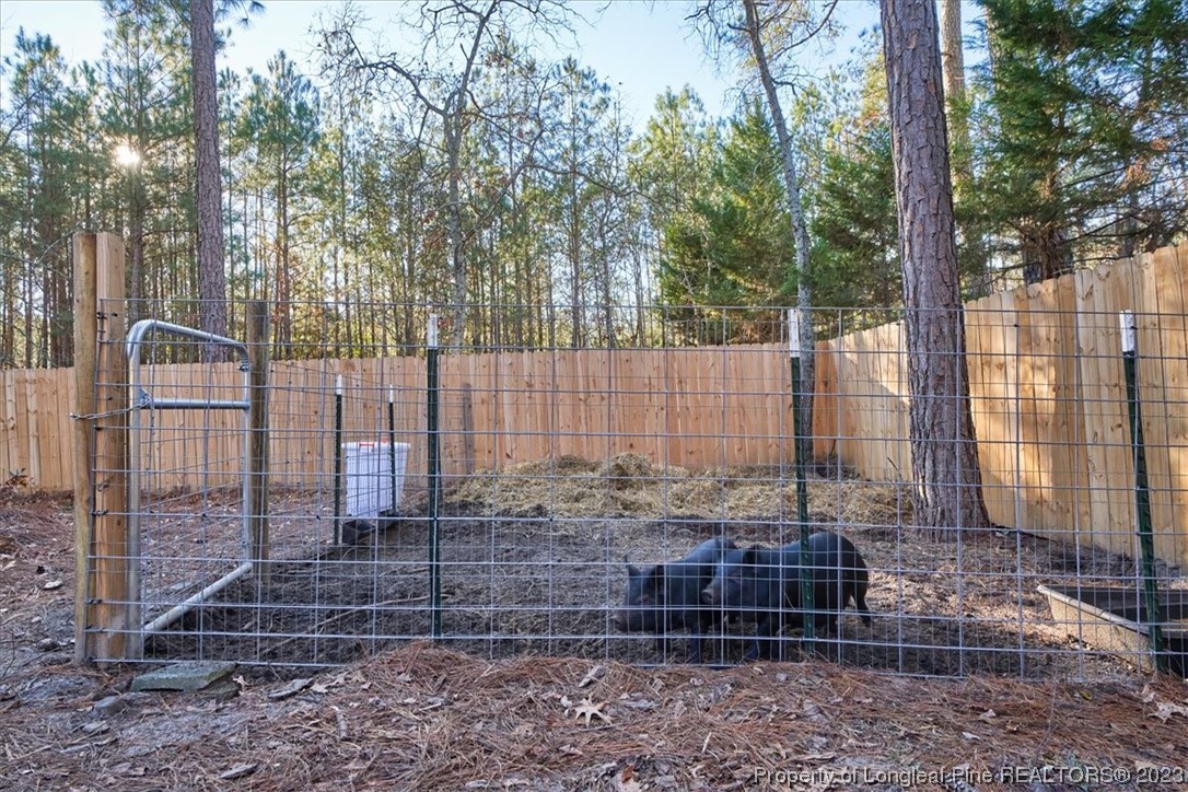 8199 Calloway Road Aberdeen, NC 28315 - Photo 46 of 50 a view of a backyard with trees