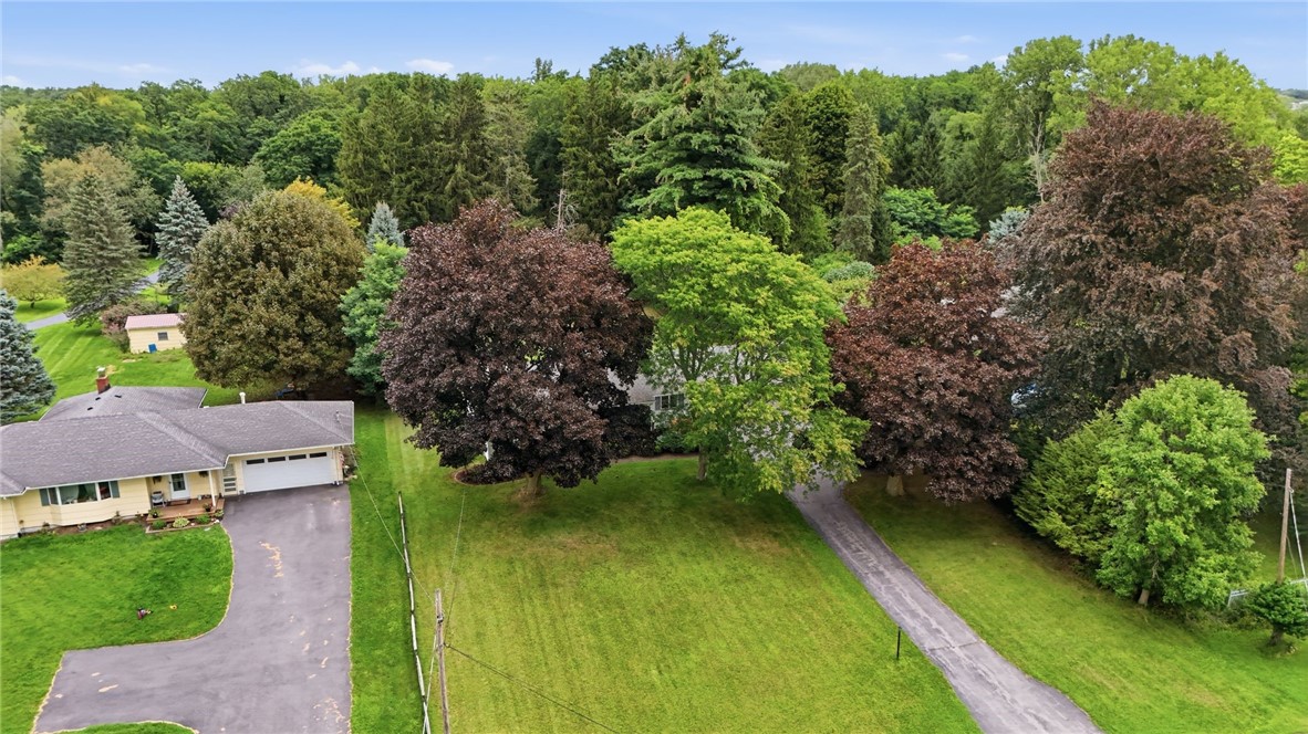 2744 Ridgeway Avenue Greece, NY 14626 - Photo 44 of 47 Gallery Image 44