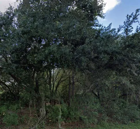 $21,000 | Granada Drive, Indian Lake Estates, FL 33855