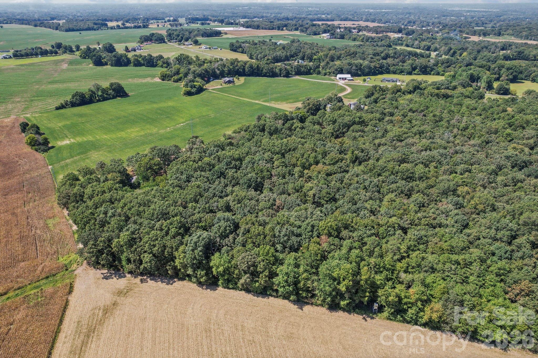 0 Country Wood Road Monroe, NC 28110 - Photo 2 of 9