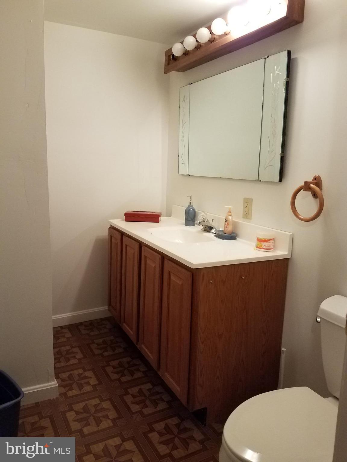 2905 Duncan Road White Hall, MD 21161 - Photo 20 of 27 Lower Level 1/2 Bath