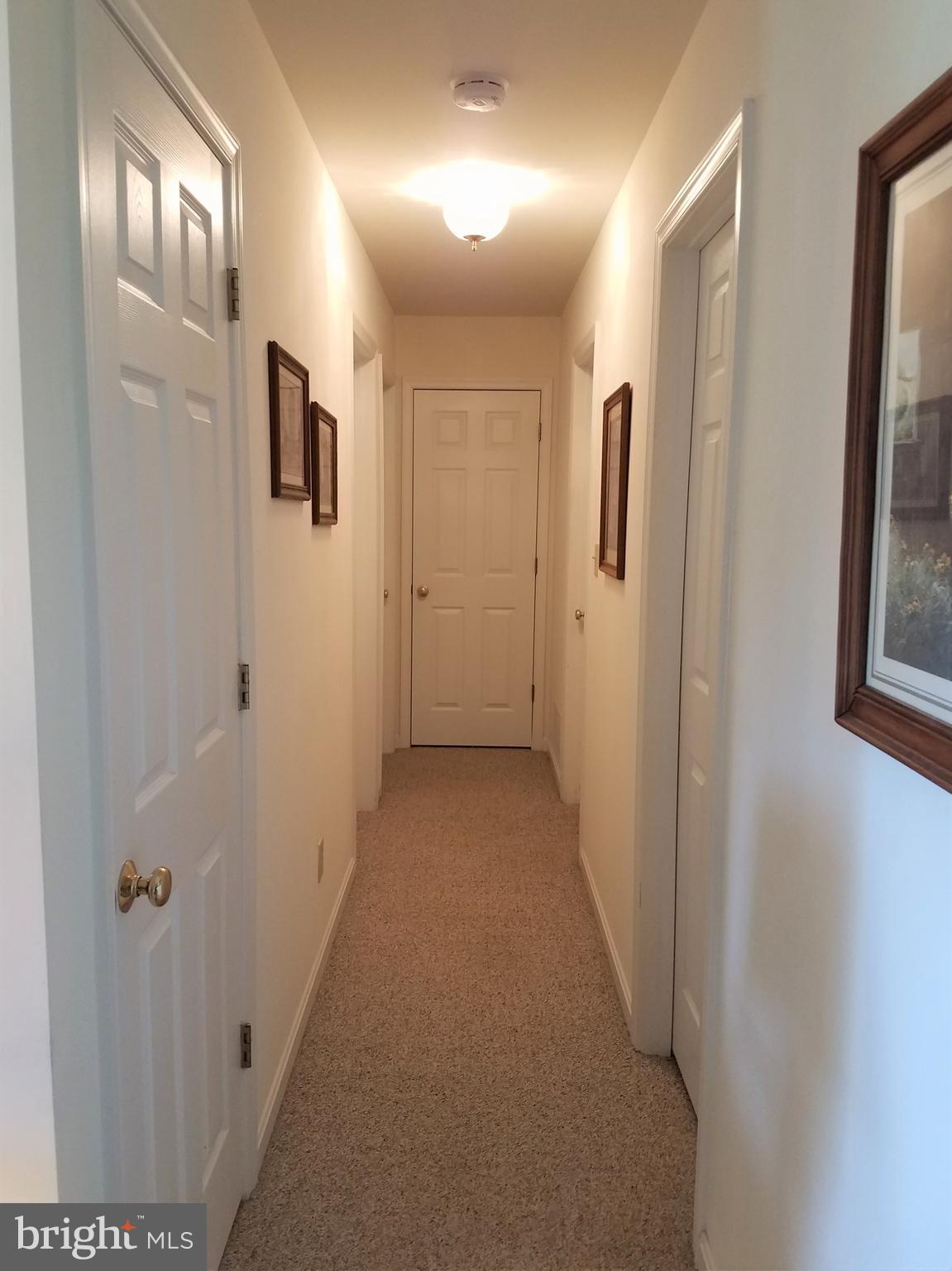 2905 Duncan Road White Hall, MD 21161 - Photo 8 of 27 6 Panel Doors Thru-Out