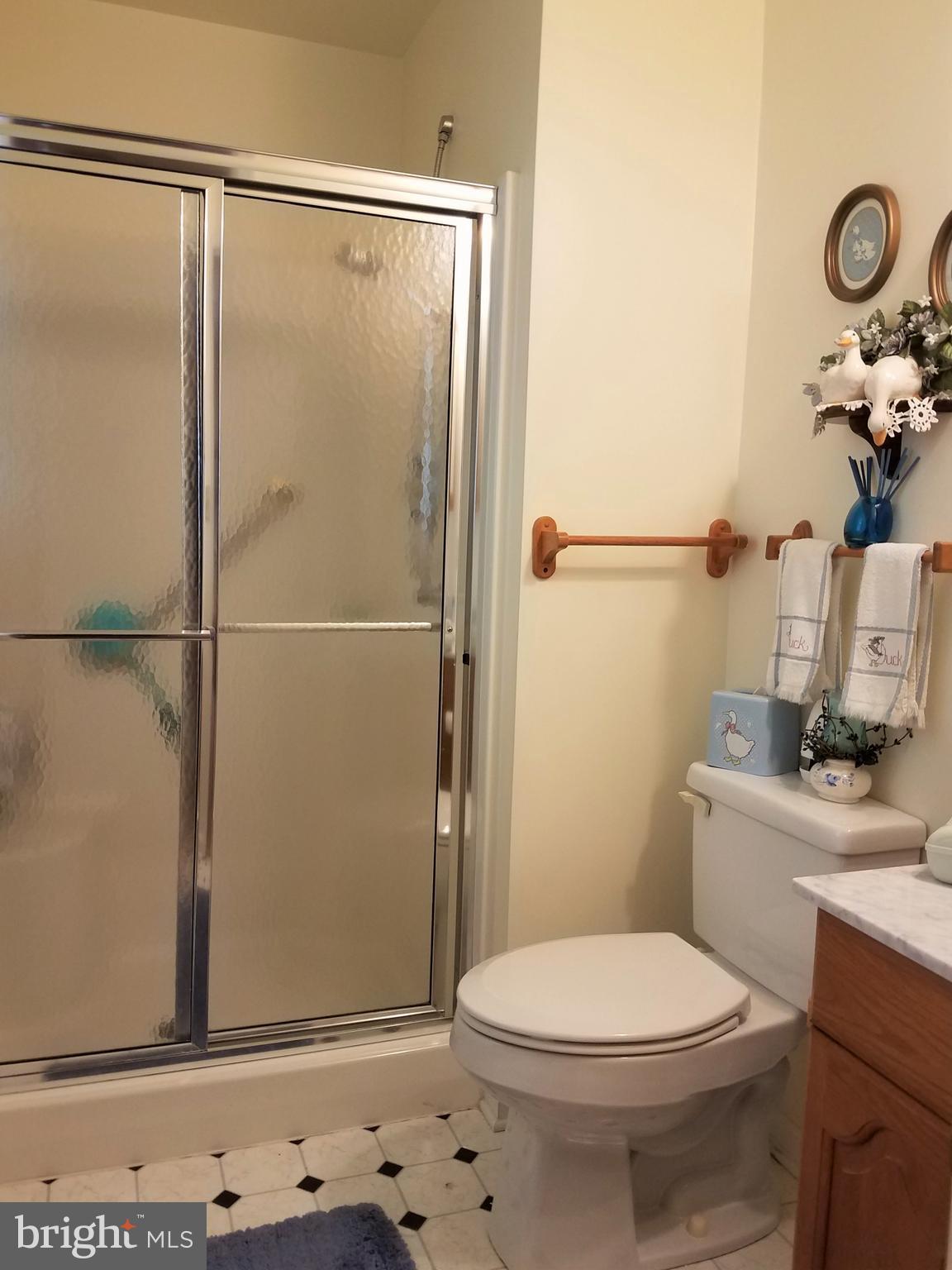 2905 Duncan Road White Hall, MD 21161 - Photo 10 of 27 Bath (Master) Walk-in Shower