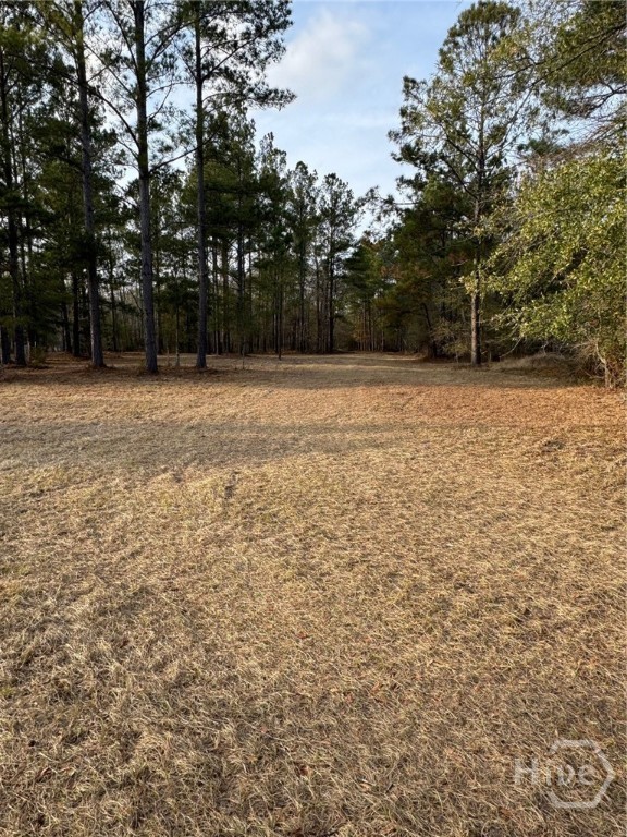 653 Palmer Row Millen, GA 30442 - Photo 8 of 15
