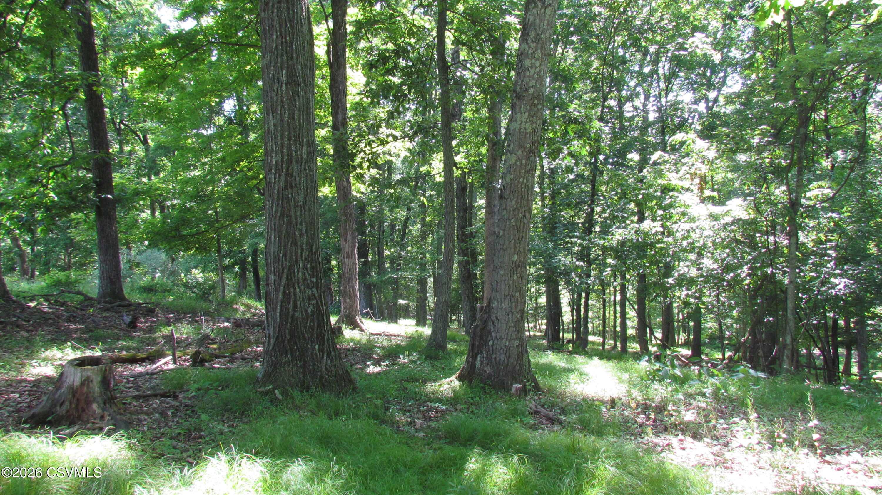 Johnson Road Shickshinny, PA 18655 - Photo 16 of 26 Gallery Image 16