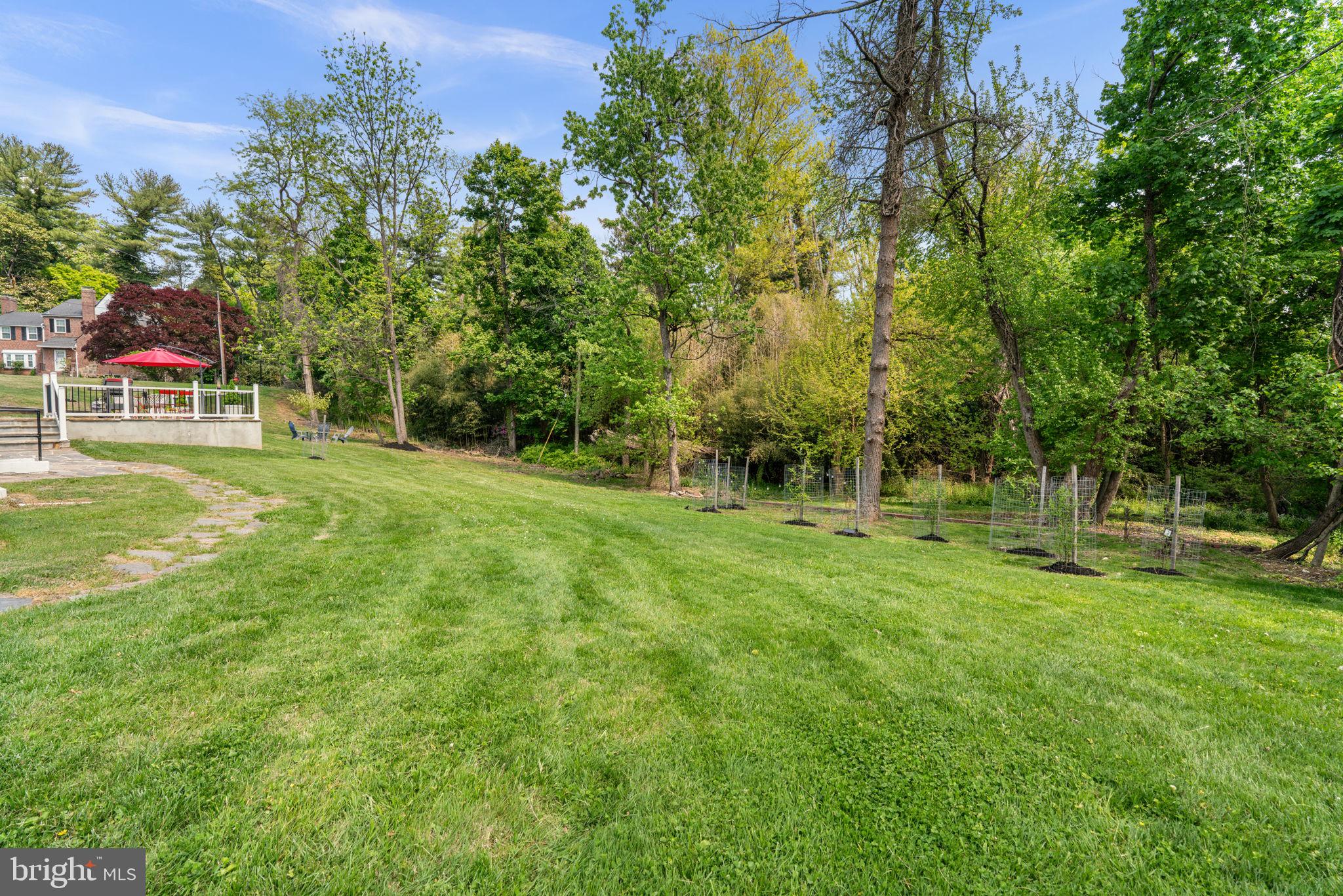4809 Woodside Road Baltimore, MD 21229 - Photo 37 of 50 Back Yard