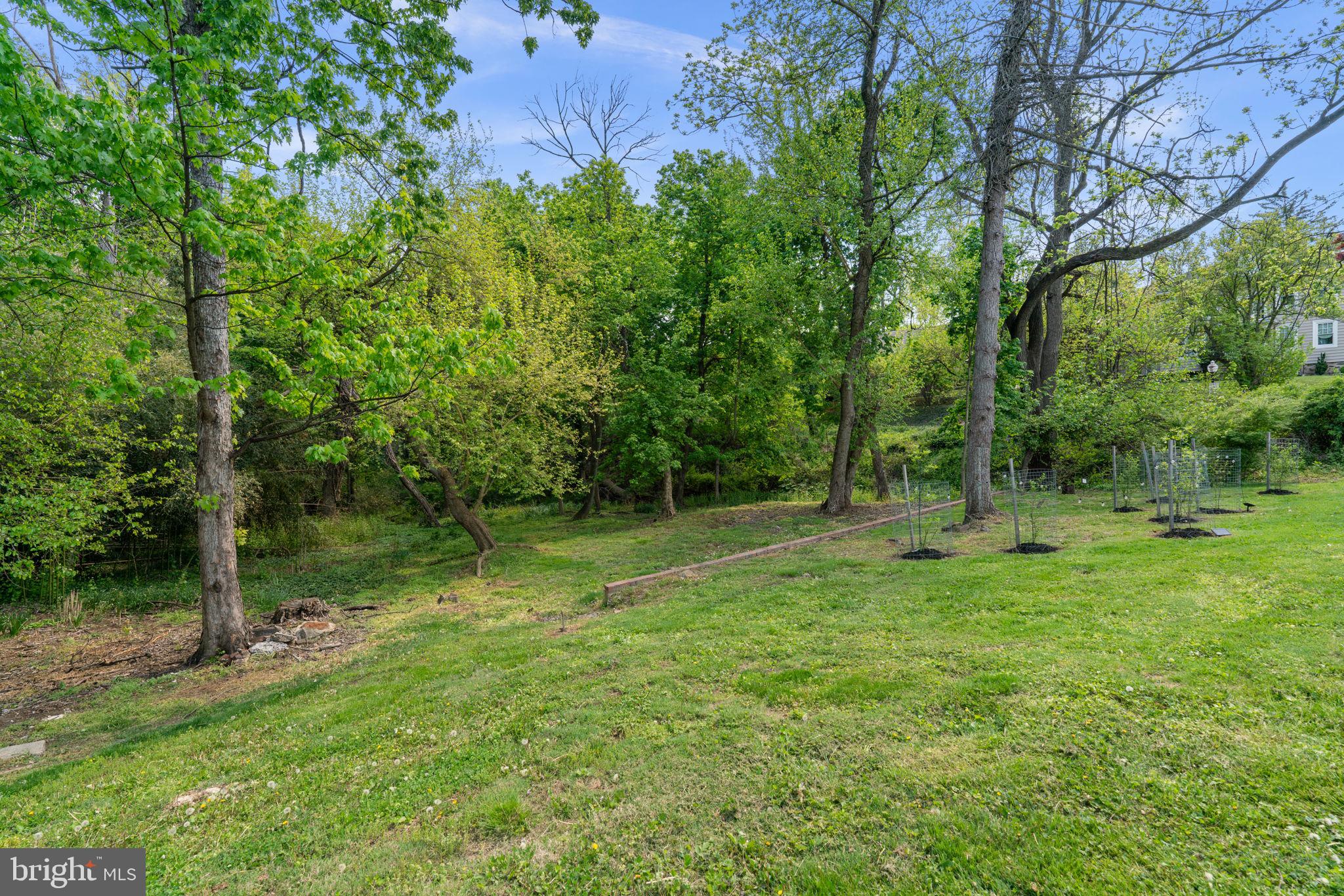 4809 Woodside Road Baltimore, MD 21229 - Photo 39 of 50 Back Yard