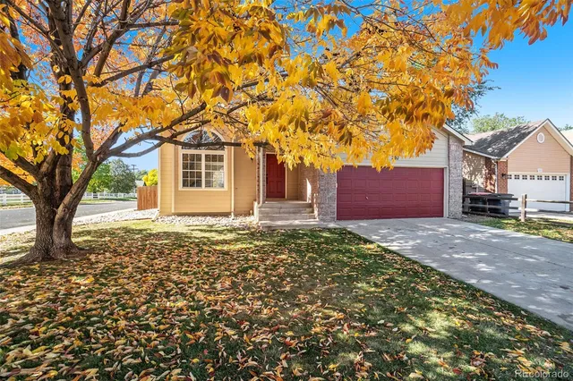a house with a tree in front of it
