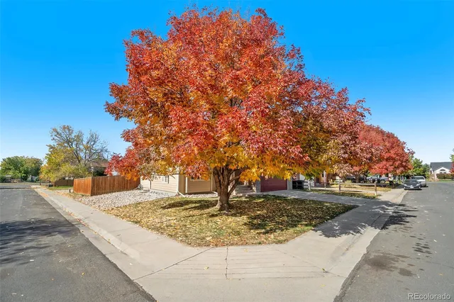 a view of a hallway with wooden floor and a fireplace