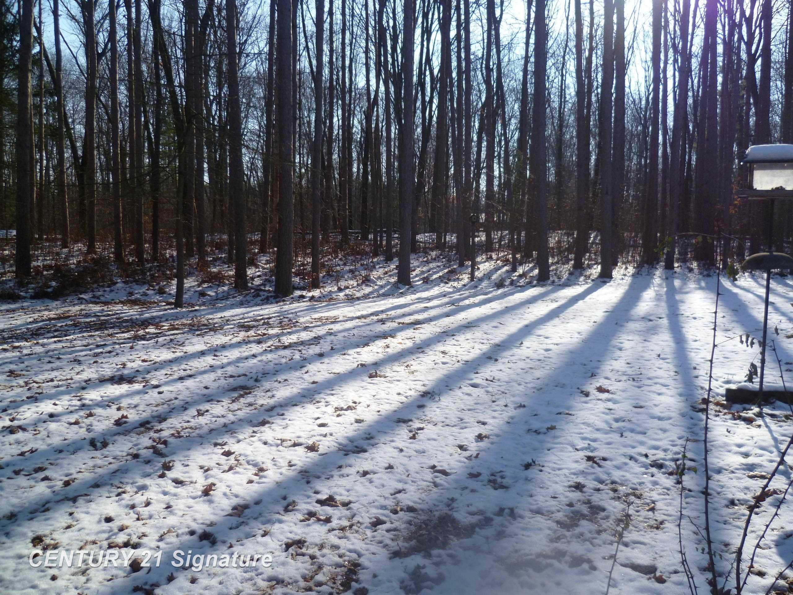 4667 South Graham Road St. Charles, MI 48655 - Photo 4 of 16 Gallery Image 4