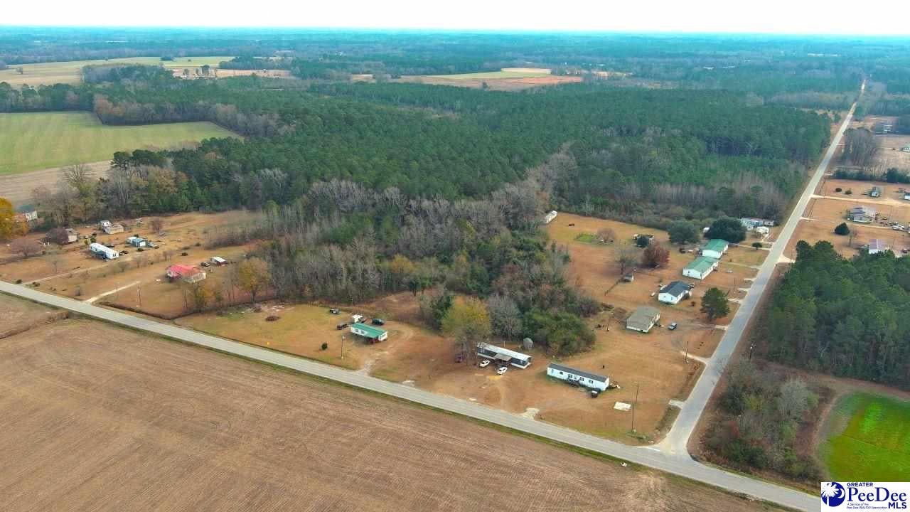 Kentyre Road Hamer, SC 29547 - Photo 15 of 24 Gallery Image 15