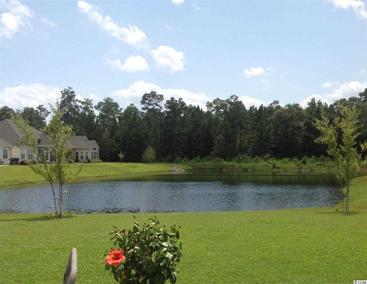 369 Highfield Loop Myrtle Beach, SC 29579 - Photo 9 of 24 Gallery Image 9