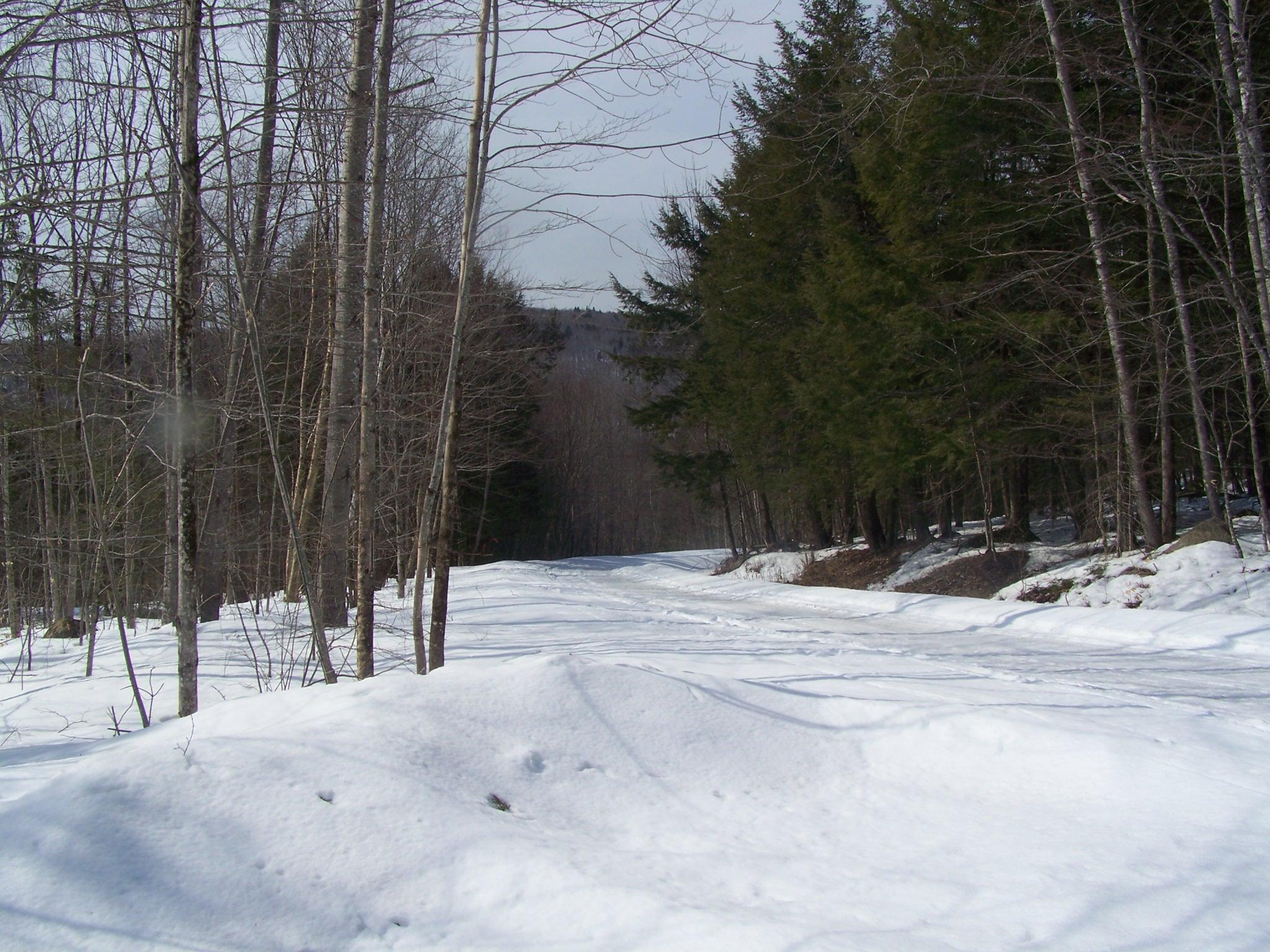 Tbd Dill Valley Road Lakeville, ME 04487 - Photo 20 of 23 100_6689