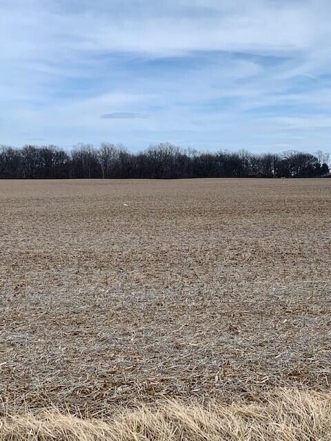 Lot 3 Gay-Dreisbach Road Circleville, OH 43113 - Photo 6 of 6 Gay-Dreisbach5