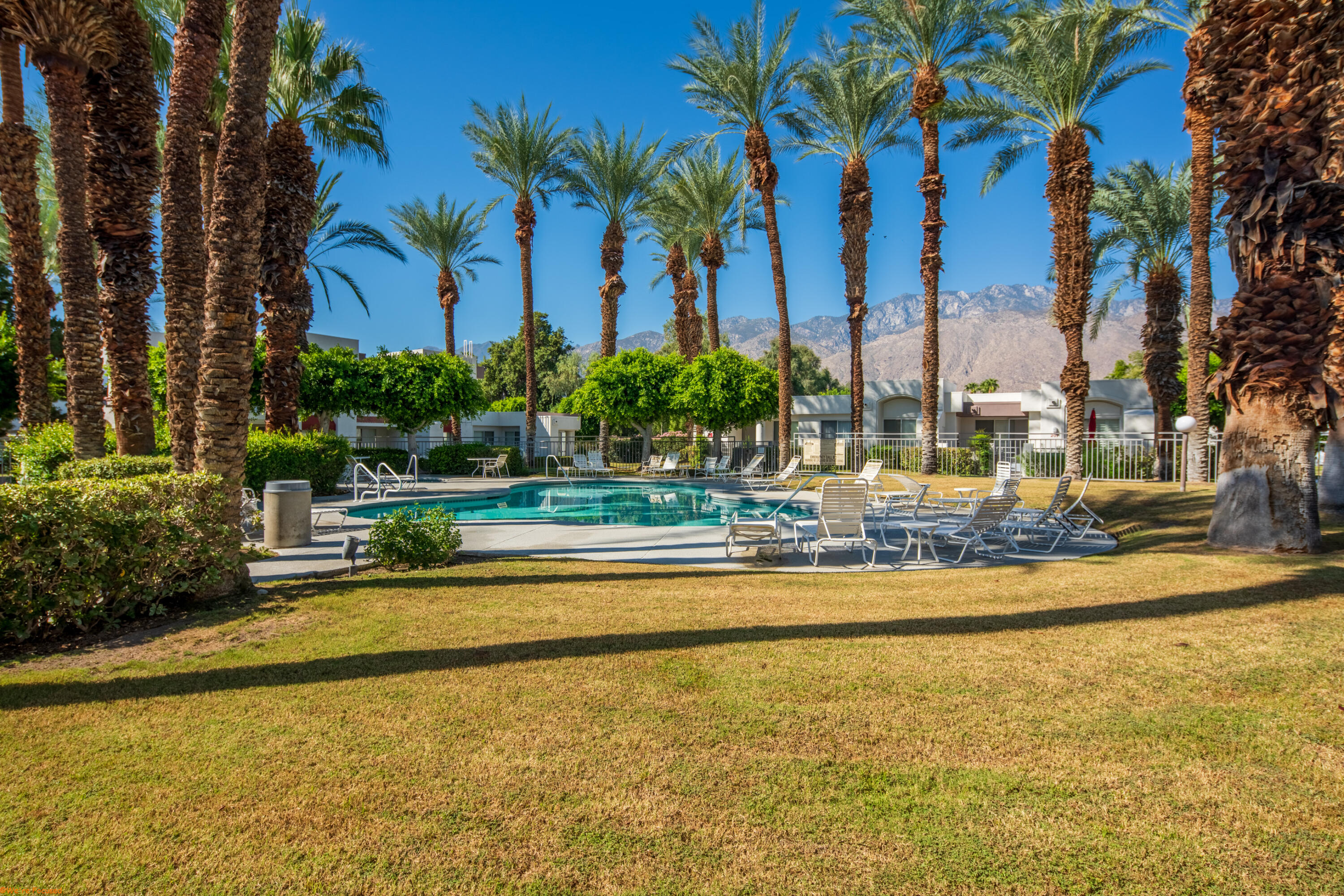 401 El Cielo Road, Unit 236 Palm Springs, CA 92262 - Photo 28 of 29 a view of a swimming pool with a lawn chairs and palm trees