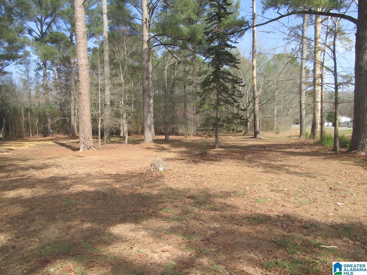 4429 Roy Webb Road Jacksonville, AL 36265 - Photo 8 of 26