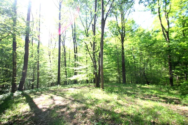 $40,000 | 6349 Catfish Drive, Nineveh, IN 46164
