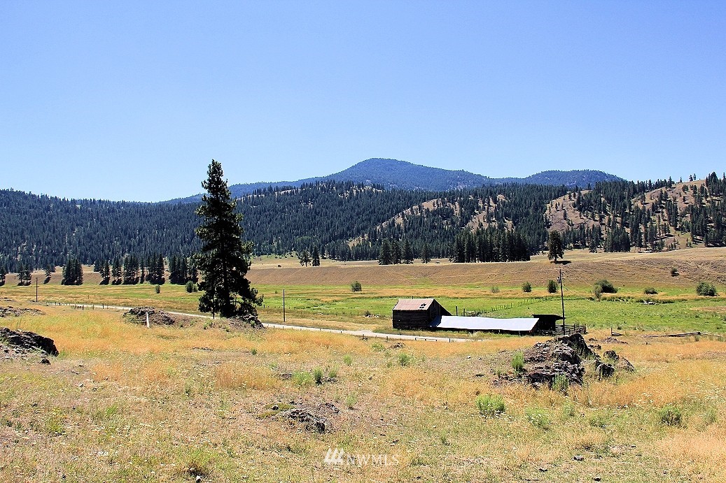 1489 Aeneas Valley Road Tonasket, WA 98855 - Photo 14 of 16 Gallery Image 14