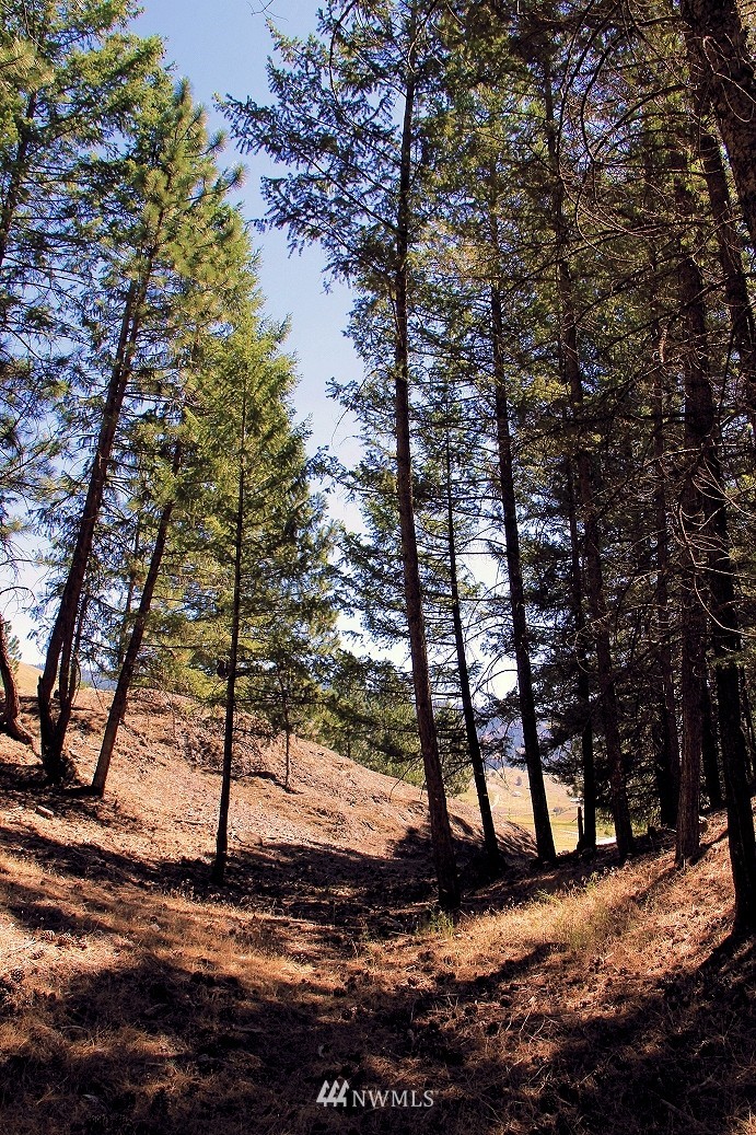 1489 Aeneas Valley Road Tonasket, WA 98855 - Photo 10 of 16 Gallery Image 10