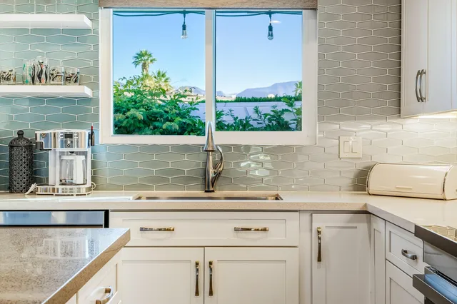 a sink with a potted plant on it