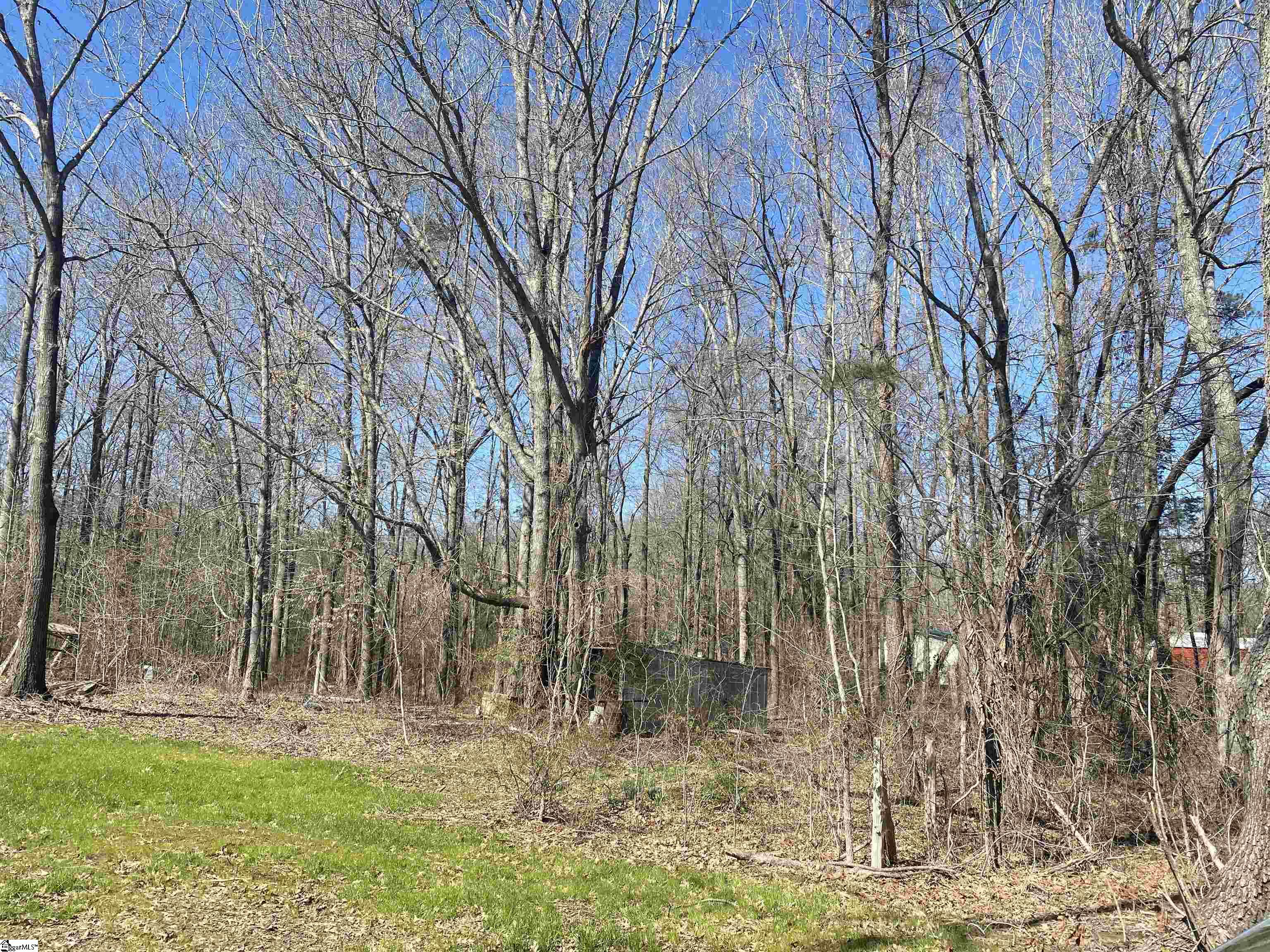 0 Milam Road, Unit LOT 1 Clinton, SC 29325 - Photo 3 of 4 Gallery Image 3