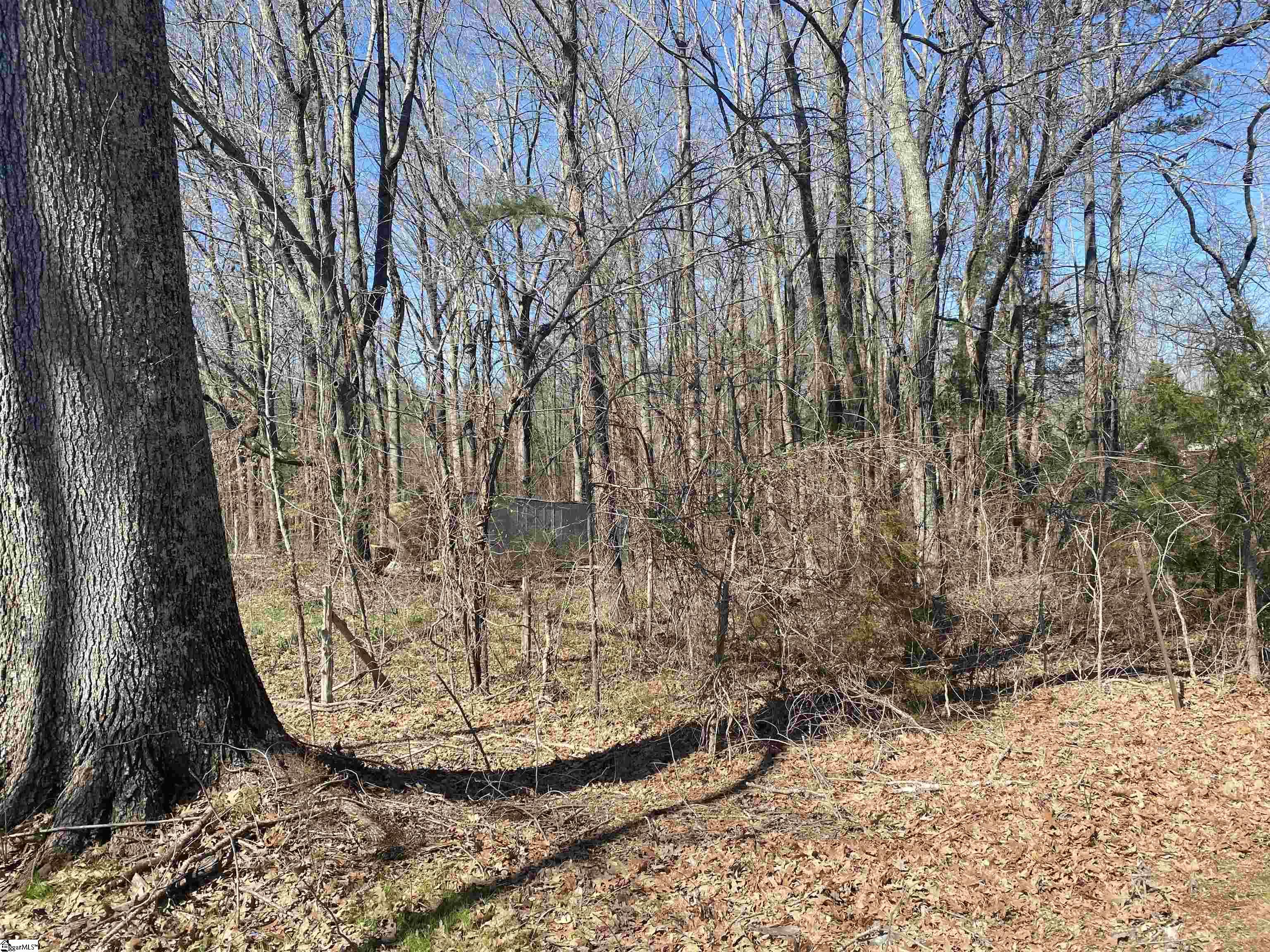 0 Milam Road, Unit LOT 1 Clinton, SC 29325 - Photo 4 of 4 Gallery Image 4