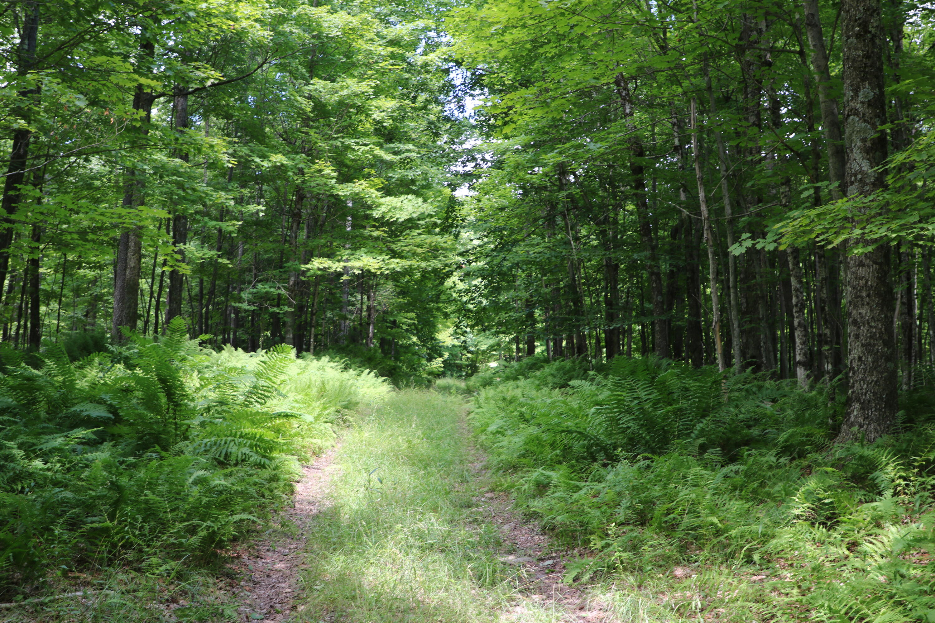 460 Little John Road Colton, NY 13625 - Photo 12 of 14 Interior Rd_IMG_4622