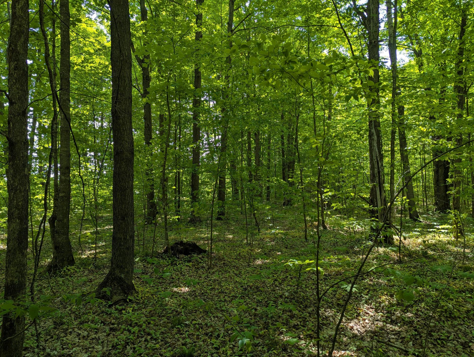 43064 Potato River Road Saxon, WI 54559 - Photo 22 of 37